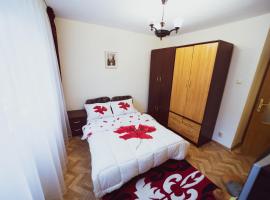 Apartament Slănic Prahova，位于斯勒尼克的酒店