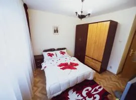 Apartament Slănic Prahova