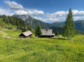 Jörgenbauerhütte，位于皮恩山口附近施皮塔尔的酒店