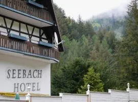 Seebach-Hotel