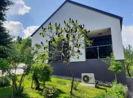 House Under The Maple Tree