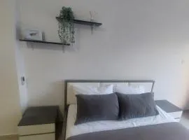 Modern Studio apartment Armonia Court