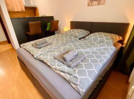 Schafberg nahe Zentrum Einzimmer Ferienwohnung，位于巴德伊舍的酒店