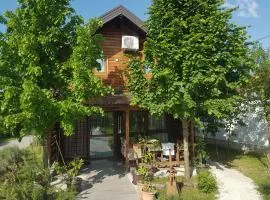 Holiday Home Edi