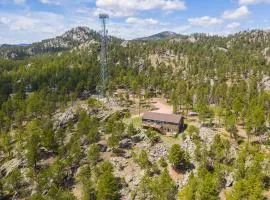 Teton Cabin