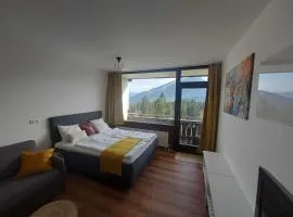 Ferienwohnung Panoramaglück