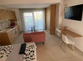 ANAX SUITE