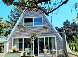 Haus Viking