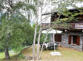 Chalet chaleureux pour 10 personnes avec cheminée et internet, proche des pistes - FR-1-342-224