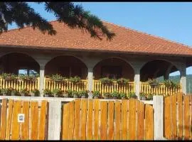 Domaćinska kuća