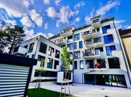 DM & S Apartment，位于维也纳的酒店