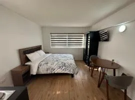TinyApartments - estudio pleno centro Concepción