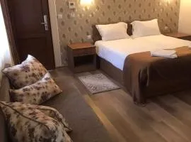 Pensiunea Casa Coroana Orăștie