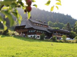 Das Schwarzwaldhotel，位于托特莫斯的酒店