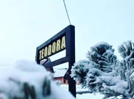 Casa Teodora Rânca，位于兰卡的酒店