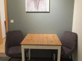 smarte Wohnung im Zentrum