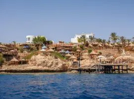 Pickalbatros Golf Beach Resort - All Inclusive