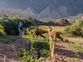 Dormir con llamas，位于麦马拉的酒店