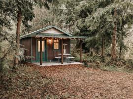 72MF - Rustic - Pets Ok - Sleeps 2 cabin，位于Maple Falls的酒店