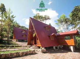 Oxablues Home Lodge，位于奥克萨潘帕的木屋