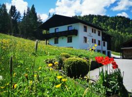 Haus Gamssprung，位于Steinberg am Rofan的家庭/亲子酒店