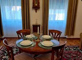 Weisz Castle style Apartment-City Center- Free Private Parking