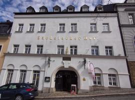 Hotel Sächsischer Hof，位于Scheibenberg的酒店