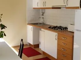 安约斯度假屋