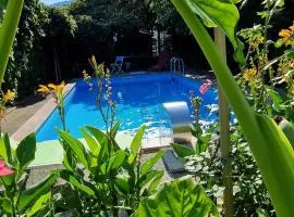 APARTMAN MURKO P-4