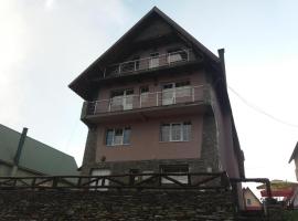 Pensiunea Brandusa，位于兰卡的酒店