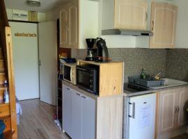 Duplex Métabief，位于梅塔比耶的酒店