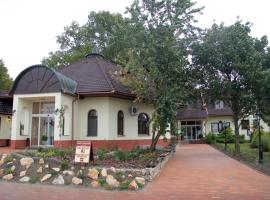 Hotel Fortuna，位于Dávod的酒店