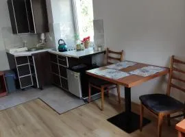 Apartament pod Lipą