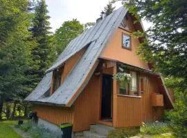ELDORADO - całoroczny domek wakacyjny 35 km od Krakowa