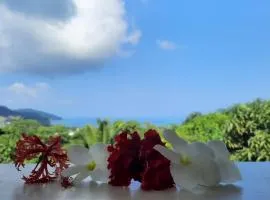 塞拉度假屋