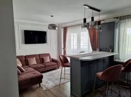 Luxury and Stylish One-B Apartment Suceava