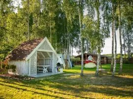 Domki w lasku