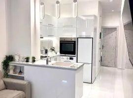 Luxury White interior Apartment