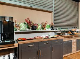 Palace Bulevard Inn，位于克卢日-纳波卡的带停车场的酒店