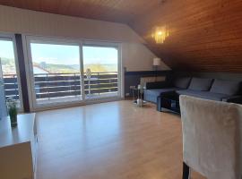 Wohnung mit Ausblick in Tauberbischofsheim，位于陶贝尔比绍夫斯海姆的酒店
