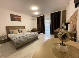 Garsoniera la Mare，位于萨图恩的酒店