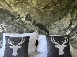 Bavaria Mountain Lodge SKI Arber Osser Bayrischer Wald DESIGNER Ferienwohnung，位于洛贝格的公寓