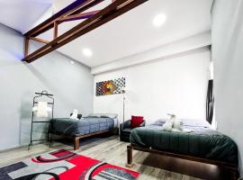 Lovely Loft 10 min from downtown - free parking，位于圣路易斯波托西的公寓