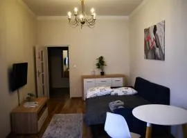 Apartament Komnata