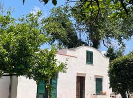 Villa Morea & Rooms in Procida，位于普罗奇达的旅馆