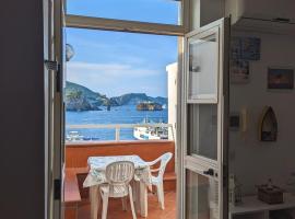 Ponza Holiday Homes - Porto，位于蓬扎的酒店