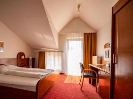 Hotel Post Viernheim，位于菲尔恩海姆的酒店