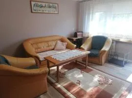 Apartament przy puszczy