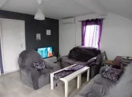 Airport Shtrkovi - Storks