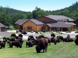 Creekside Lodge at Custer State Park Resort，位于卡斯特的木屋